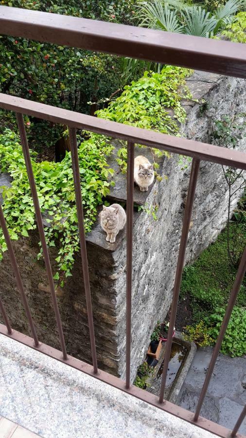 Raineri Apartment Domaso
