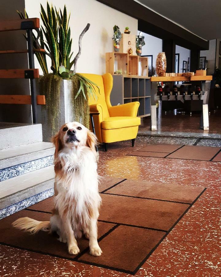 Hotel Europa 2*