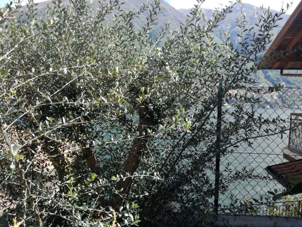 Plinio Gasthof Laglio