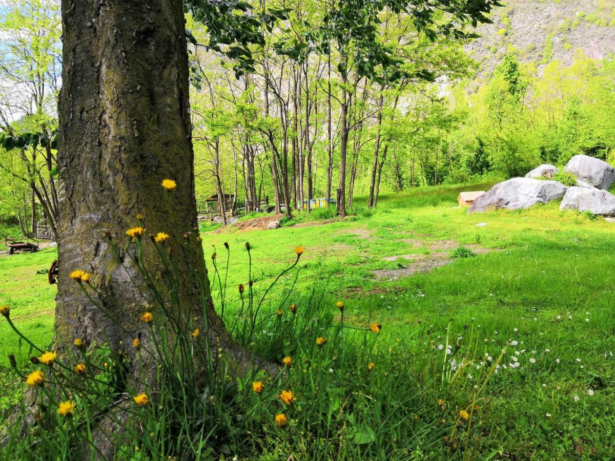 Farm stay Val Codera Verceia