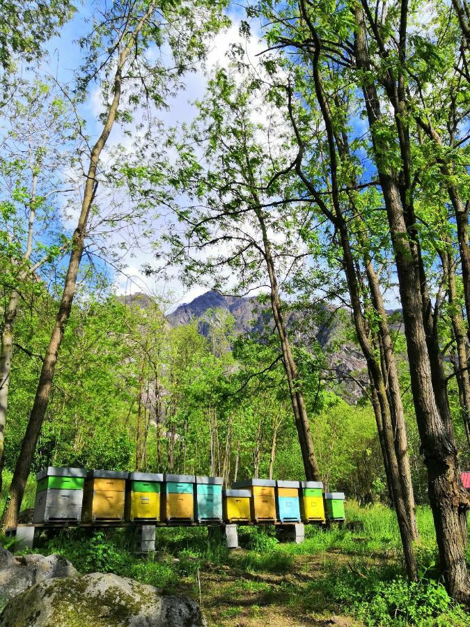 Farm stay Val Codera Verceia