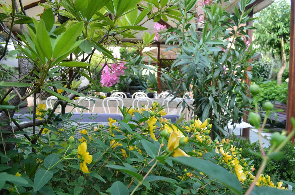 Giardino Cernobbio