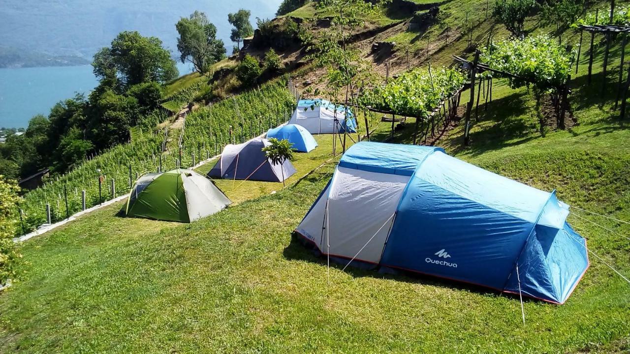 Camping Colle Vento Campsite *