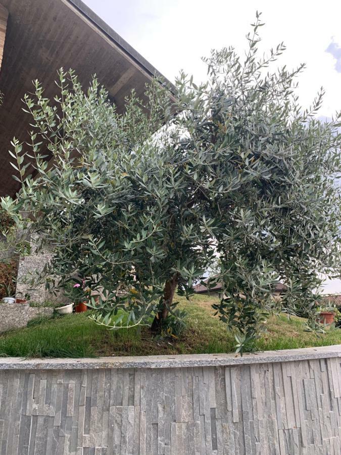 Cuore Gasthof *
