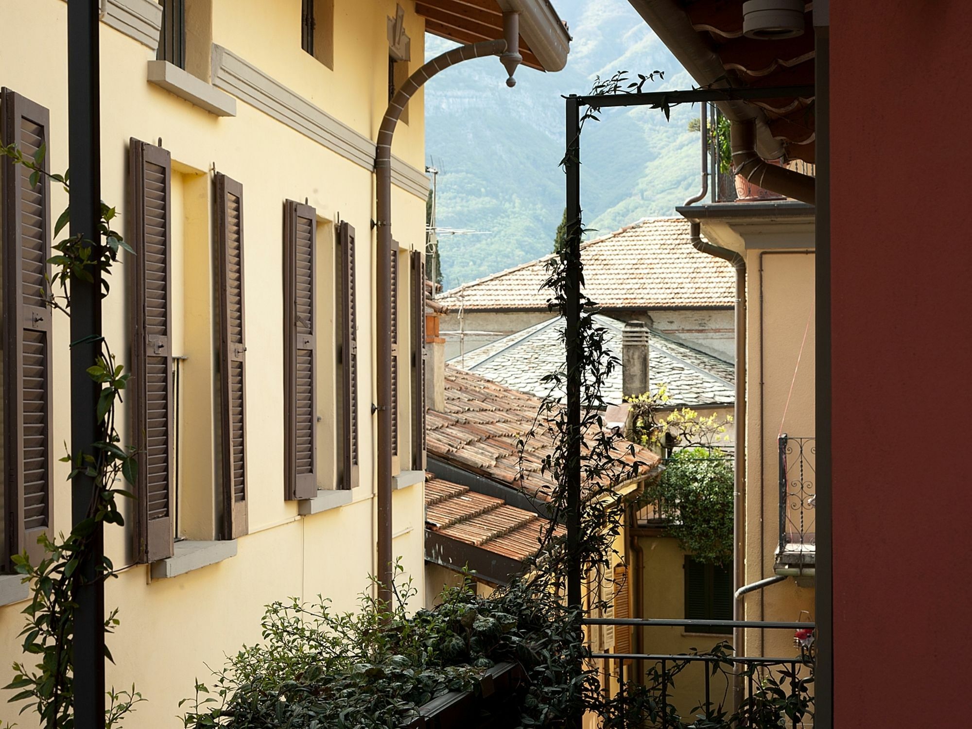 Nenè-il Vicolo Apartments&rooms Affittacamere 3*