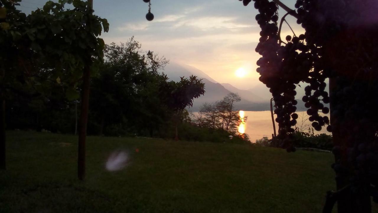 Camping Colle Vento Campsite *