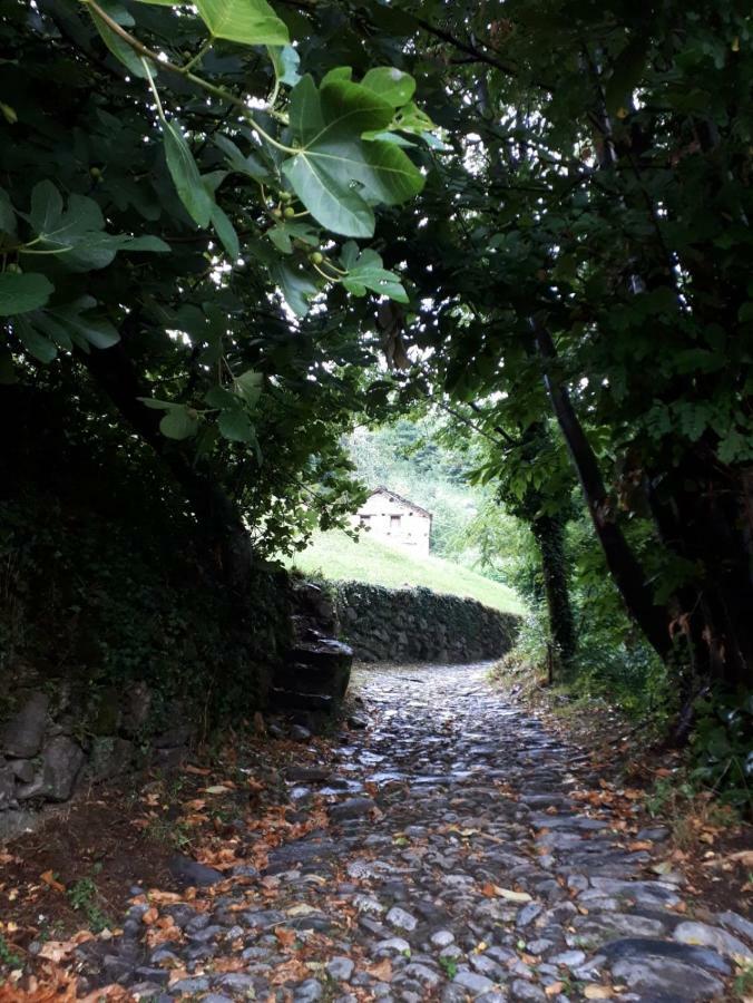 Campsite Camping Colle Vento Domaso