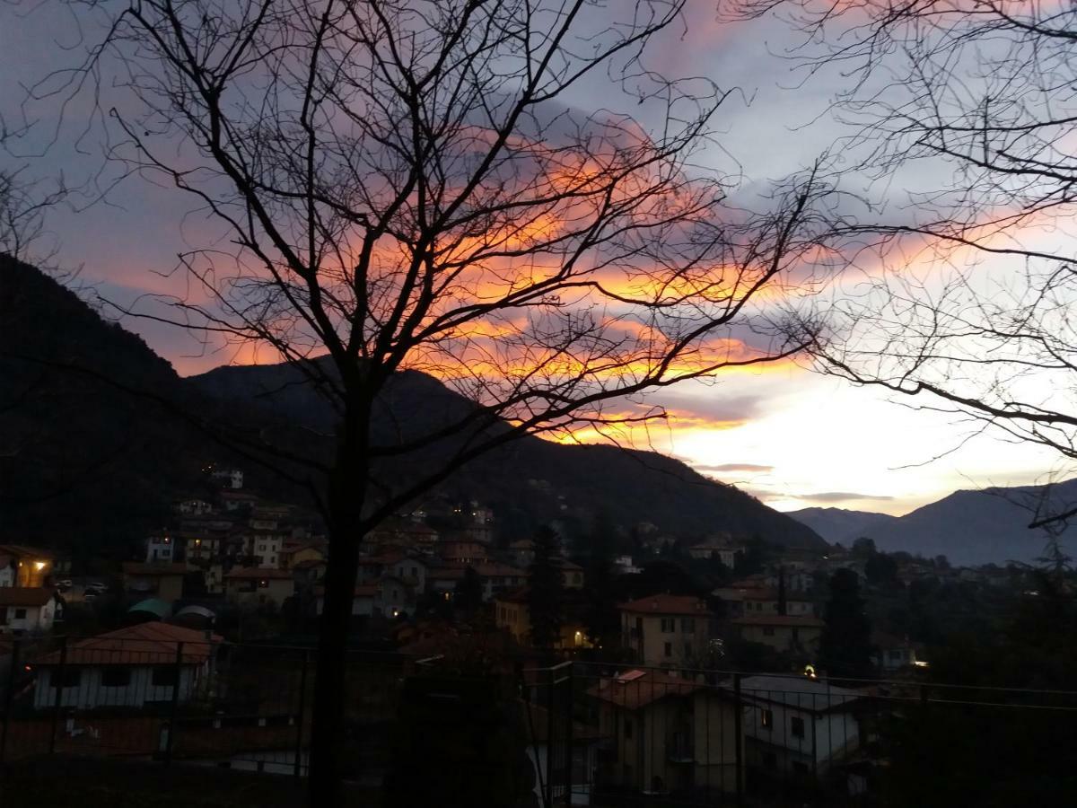 Primula Appartamento *