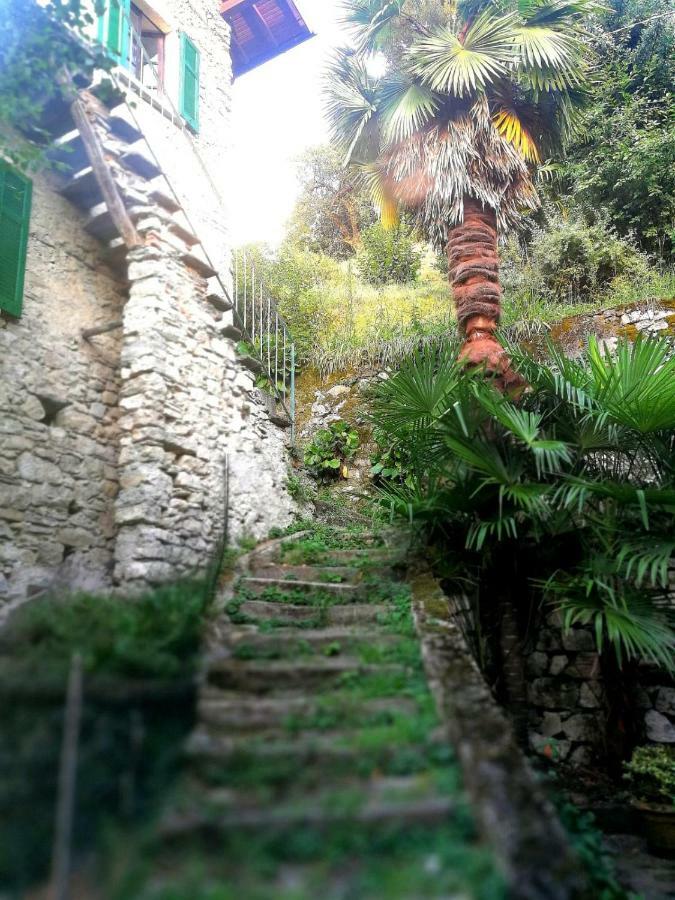 Apartment Rustico Vista Lago Lezzeno