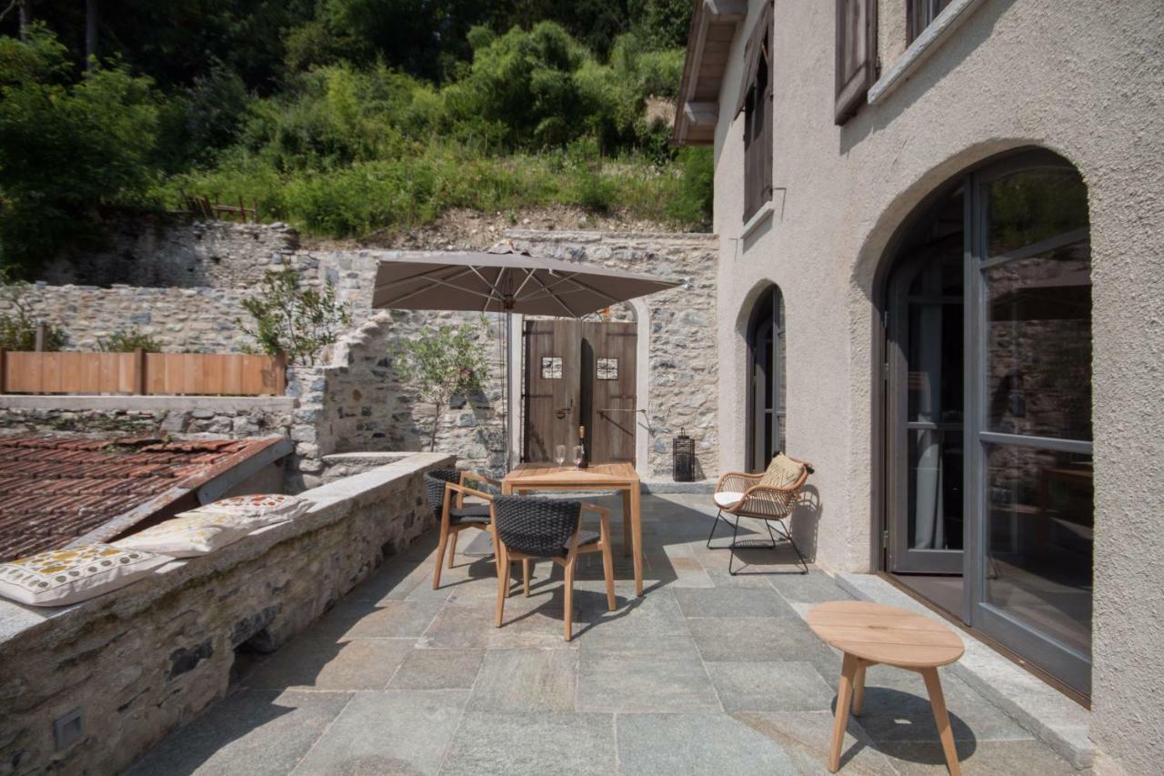 Borgo San Rocco - Ginkgo *