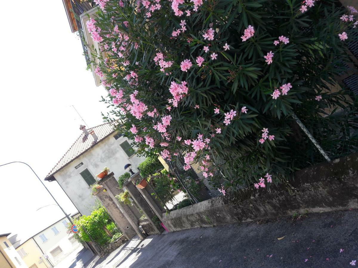 Erbagatta Guest house *