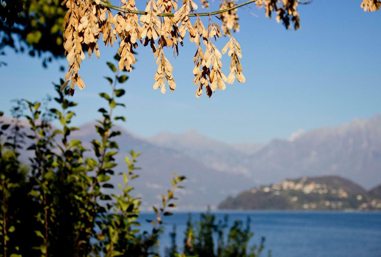 Apartment Lakefront Del Pierangelo *