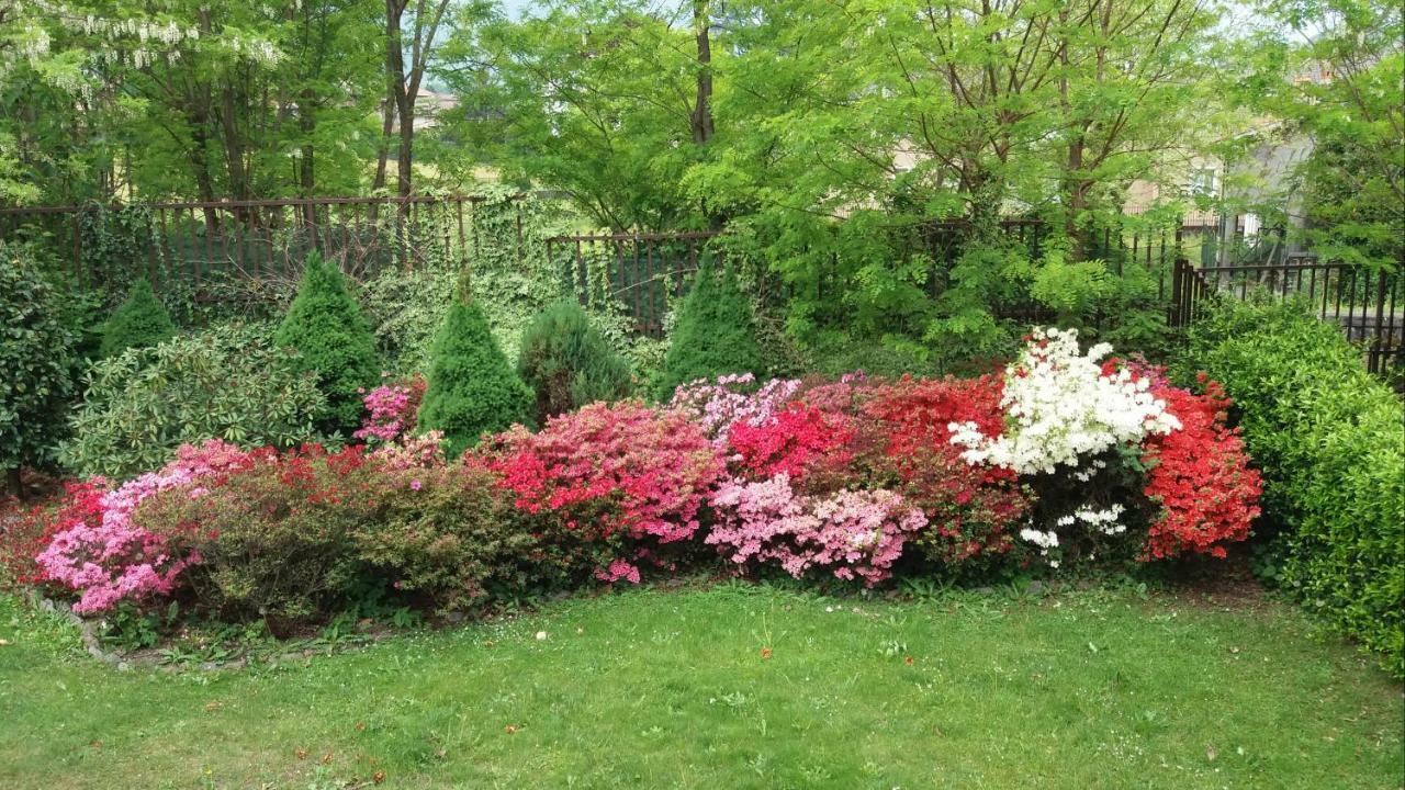 Il Giardino
