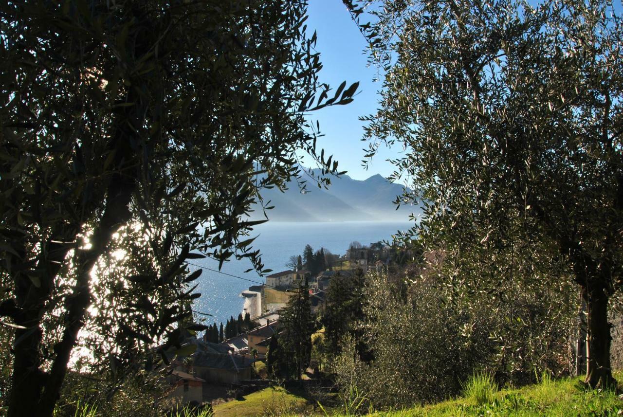 Il Medeghino * Musso
