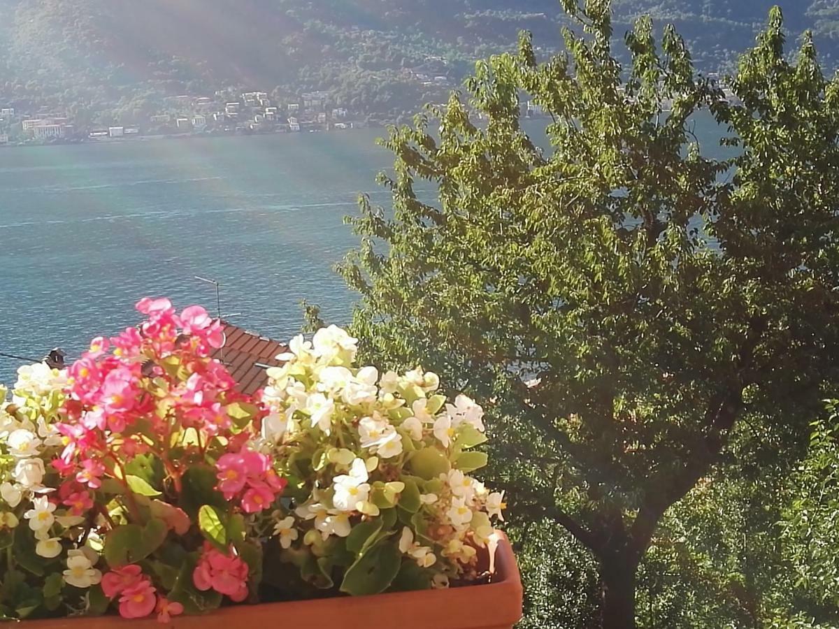 Ca' Eleonora Holiday home Lezzeno