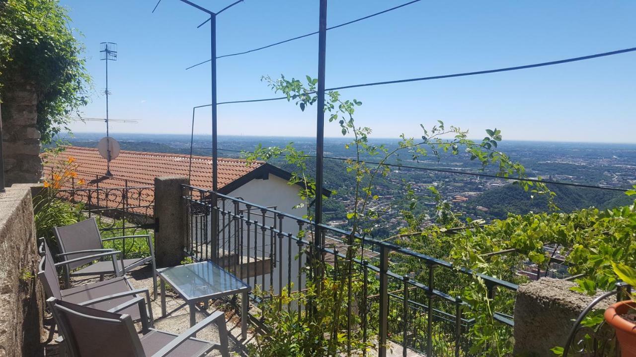 Le Vigne - - *