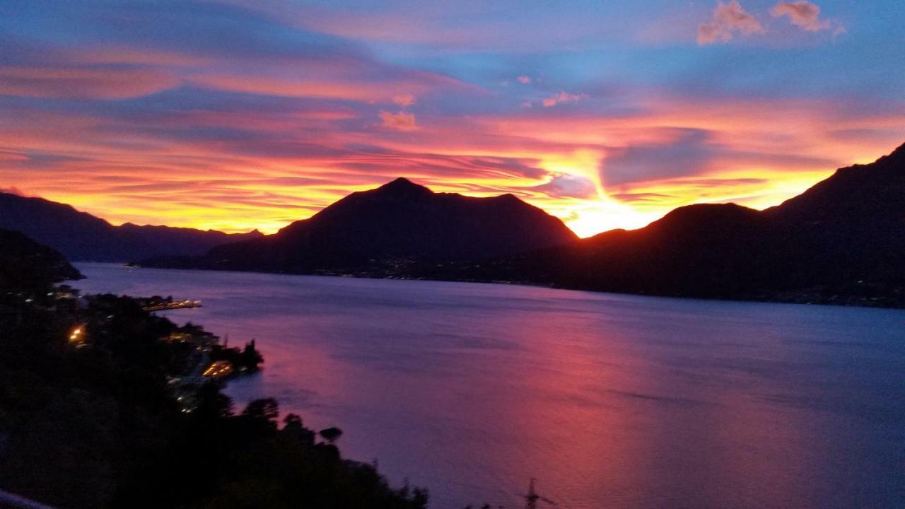 Lake Como- Olive Tree Apartment Bellano