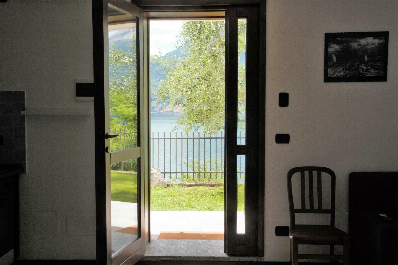Lake Como- Olive Tree *