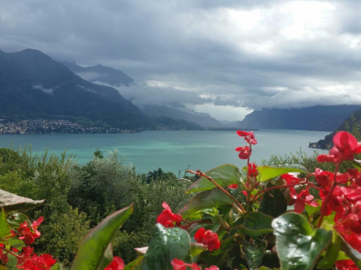 Alba E Tramonto Vista * Bellagio