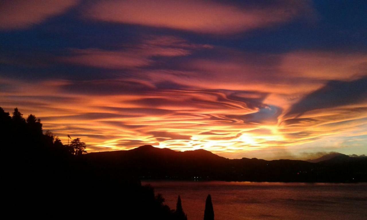 Bella Fra *