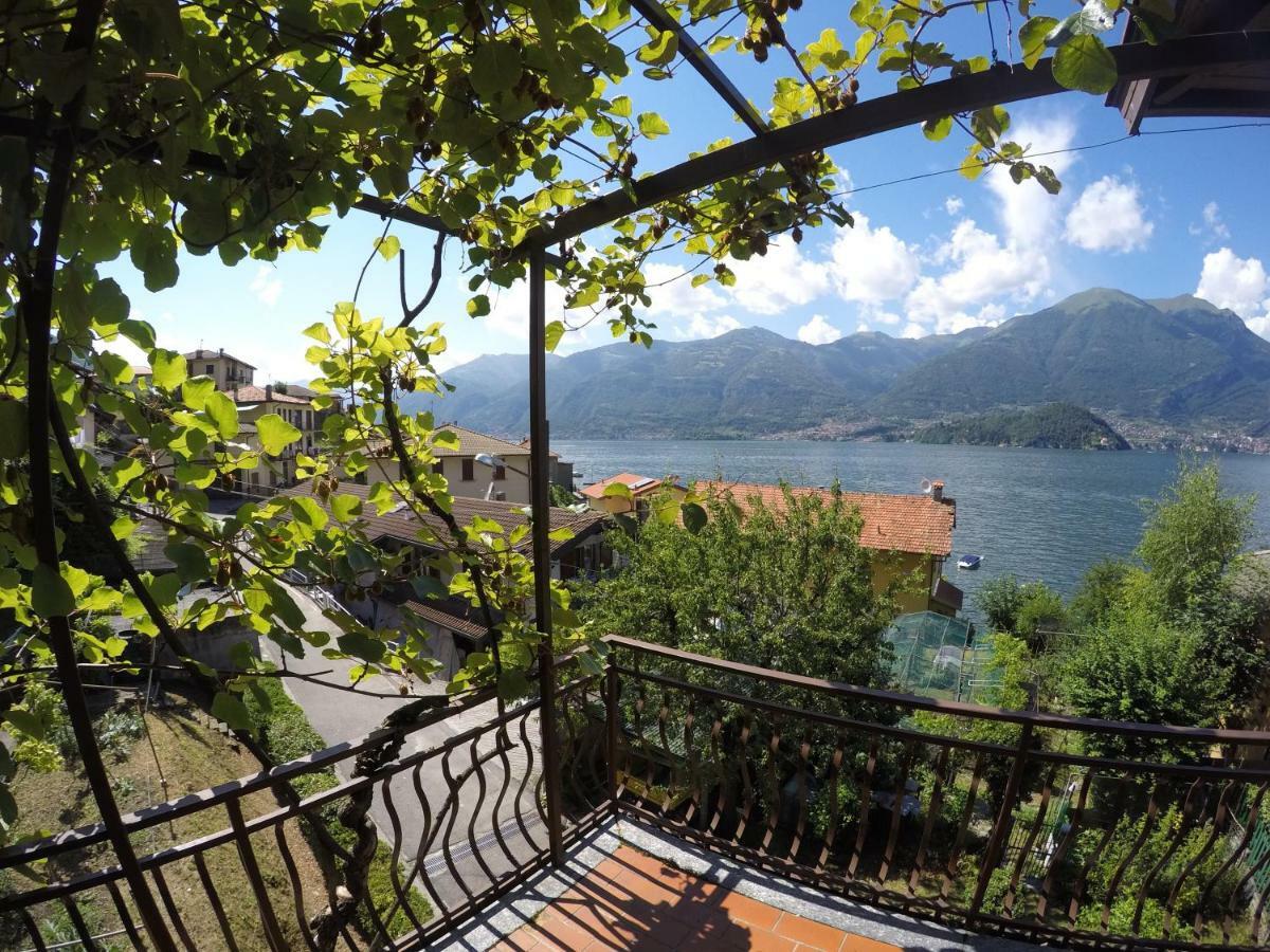 Apartment L'agrifoglio