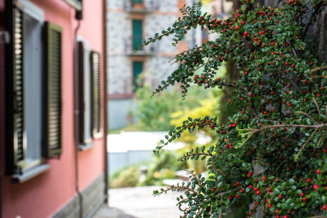 Casa Rosa