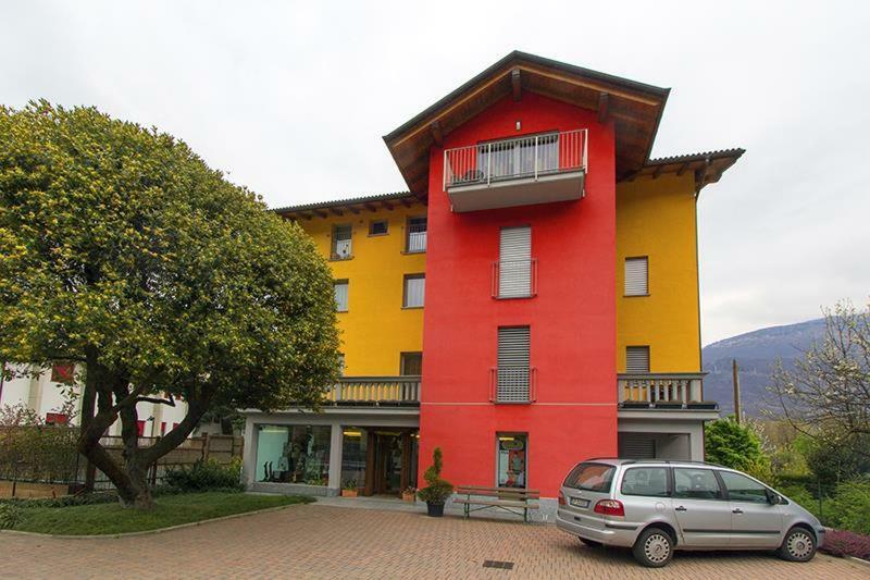 Laurus Ivan * Dubino