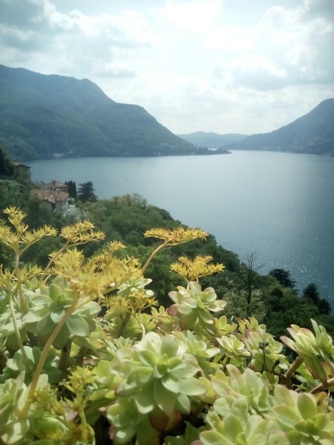 Casa Del Borgo Pognana Lario