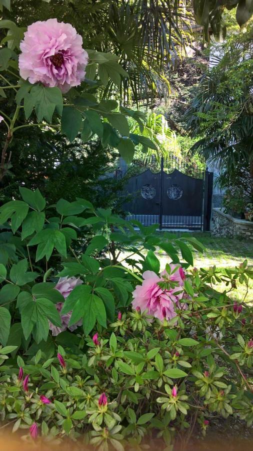 La Casa Di Bice * Dervio
