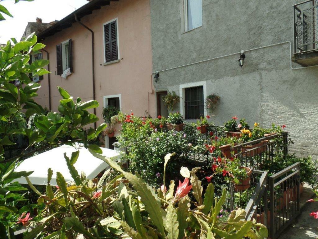 Zia Lina Bed & Breakfast Dongo