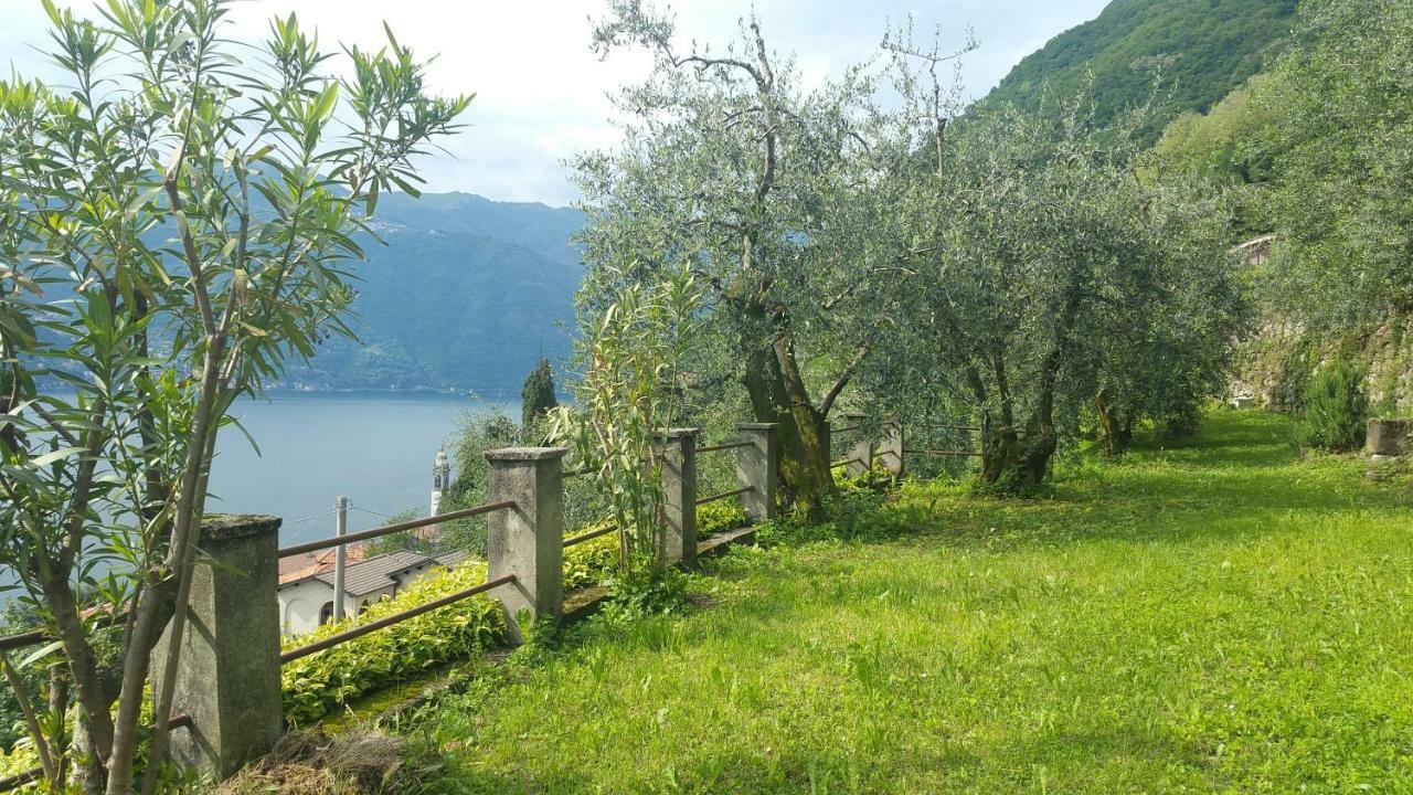 Holiday home Gli Ulivi Di *