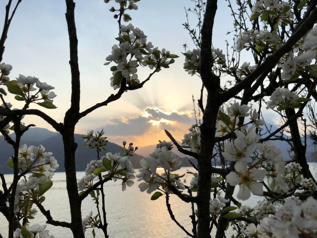 La Casetta Ferienhaus Varenna