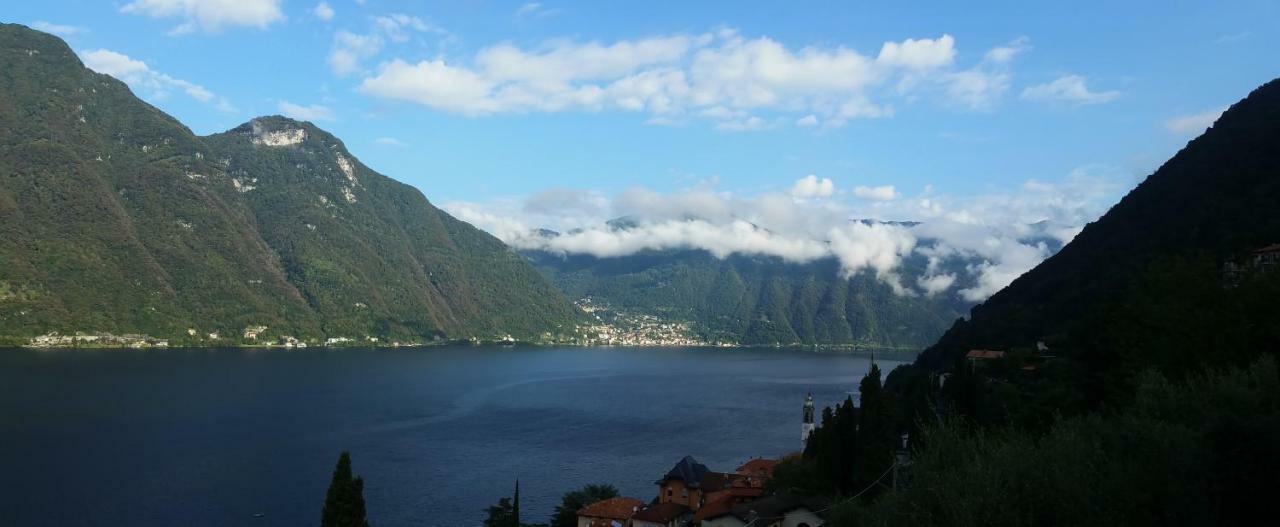 Gli Ulivi Di Holiday home *