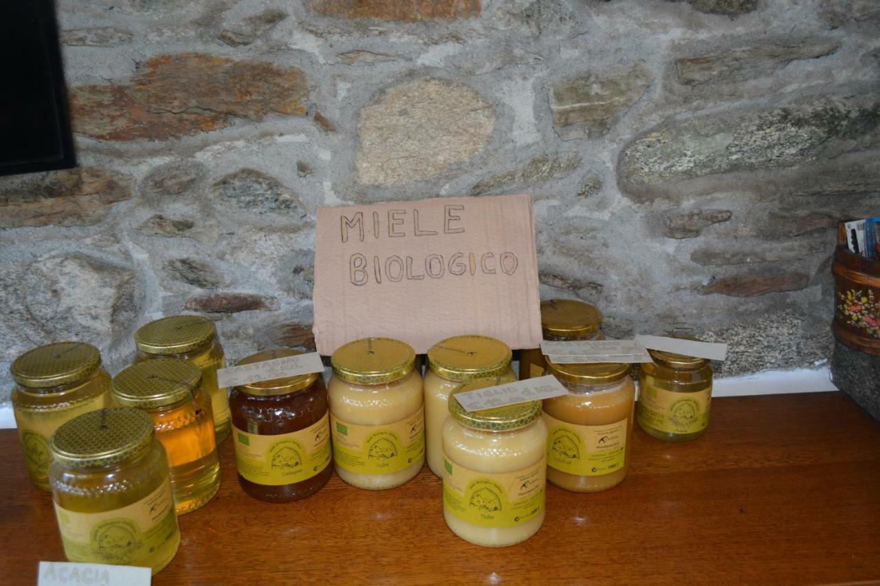 Appartamento Apartmentslagodicomo *