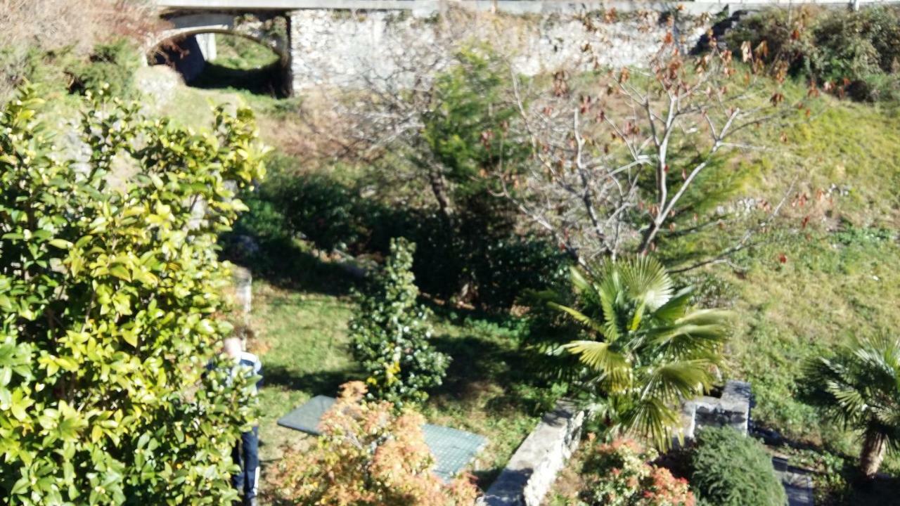 Casa Delle Camelie * Sorico