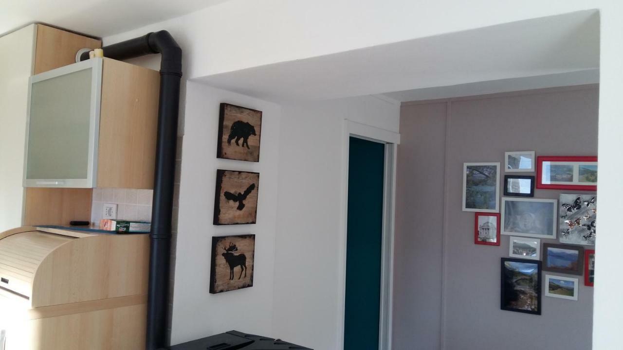 Casa Delle Camelie Apartment
