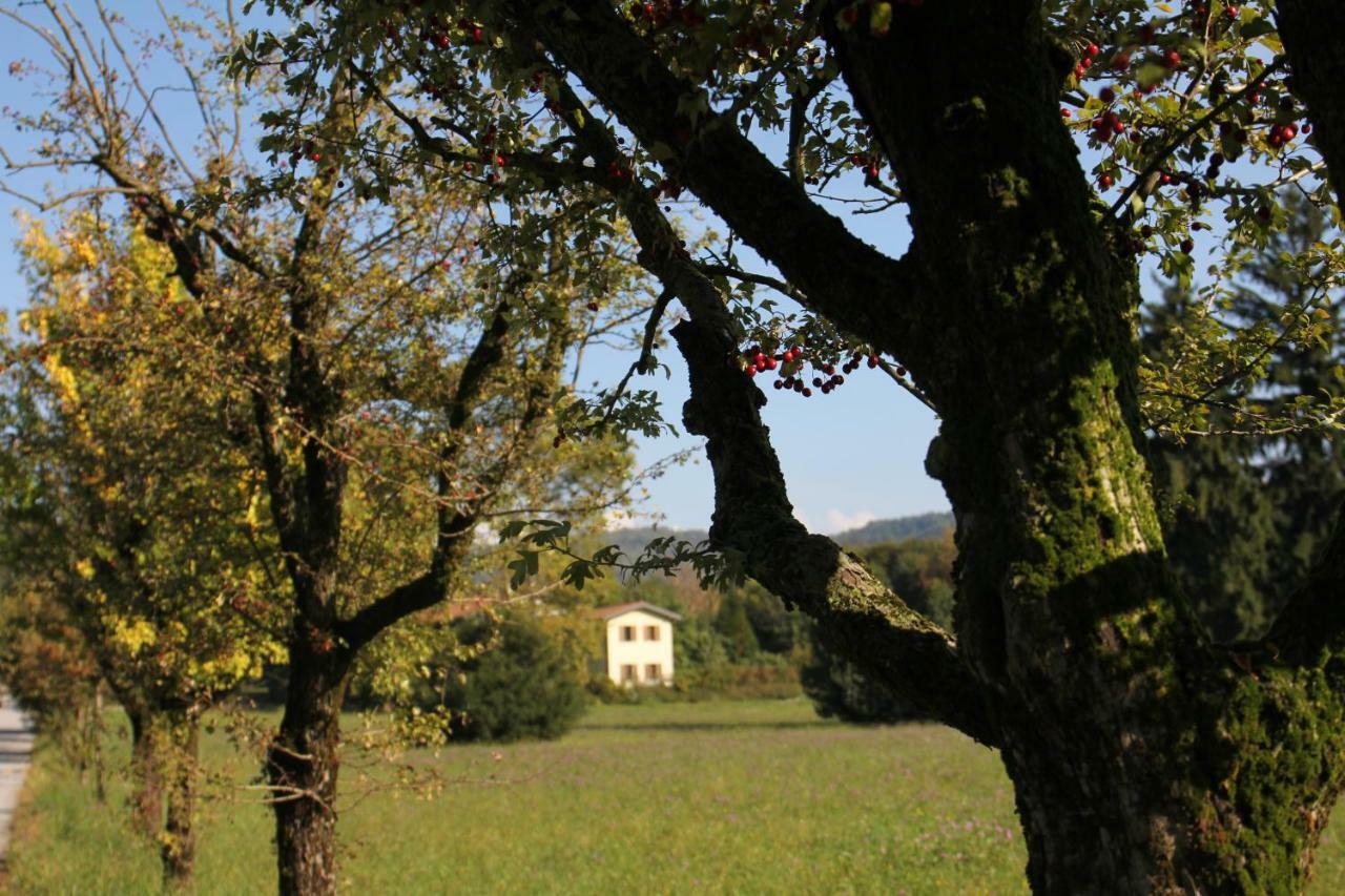 Guest house L'antica Corte Lazzago *