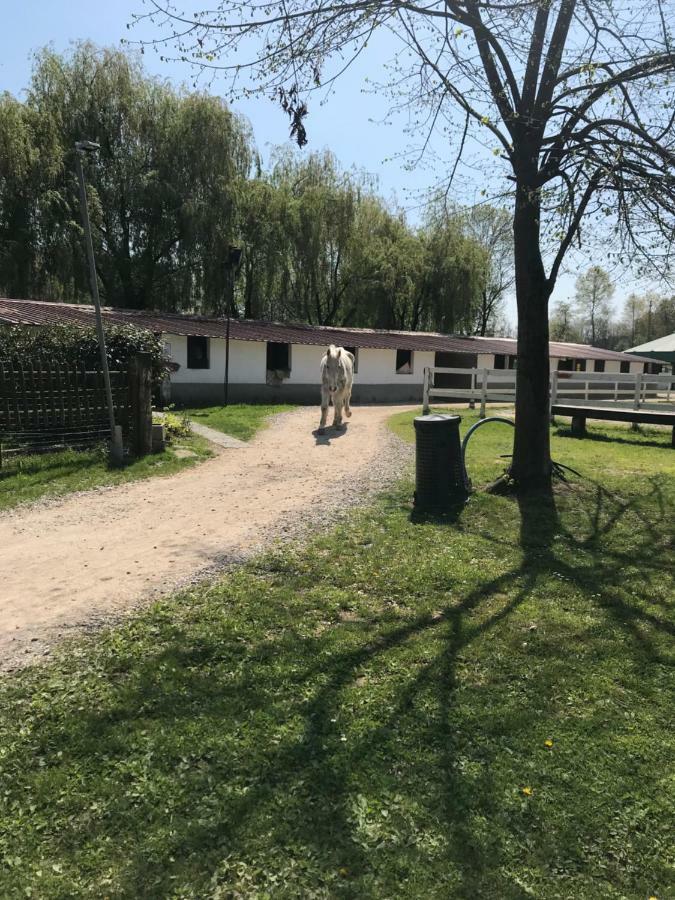 Bauernhof La Fornace Centro Ippico Como