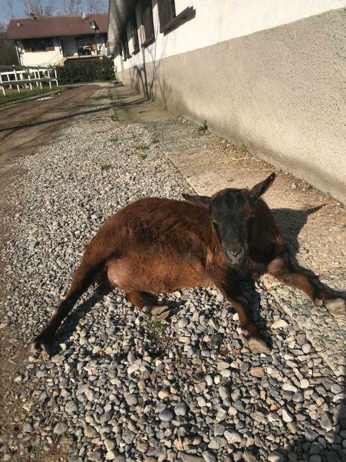 Bauernhof La Fornace Centro Ippico