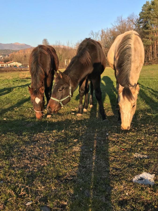 La Fornace Centro Ippico Farm stay Como