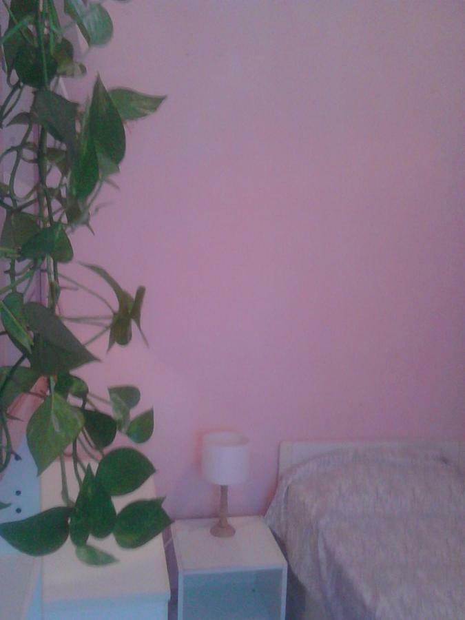 Central Art House Guest house *