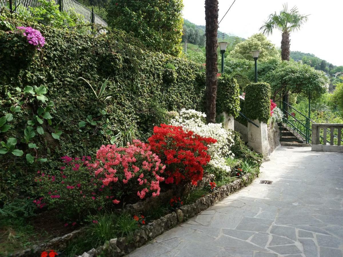 Apartment Plinio Di