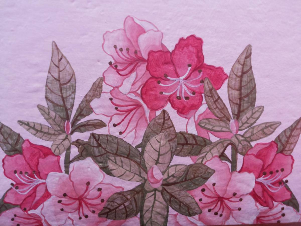 Apartment Charming Glicine And Azalea House Art And Colour With Lakeview Cadenabbia