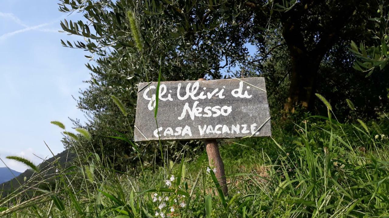 Gli Ulivi Di Holiday home