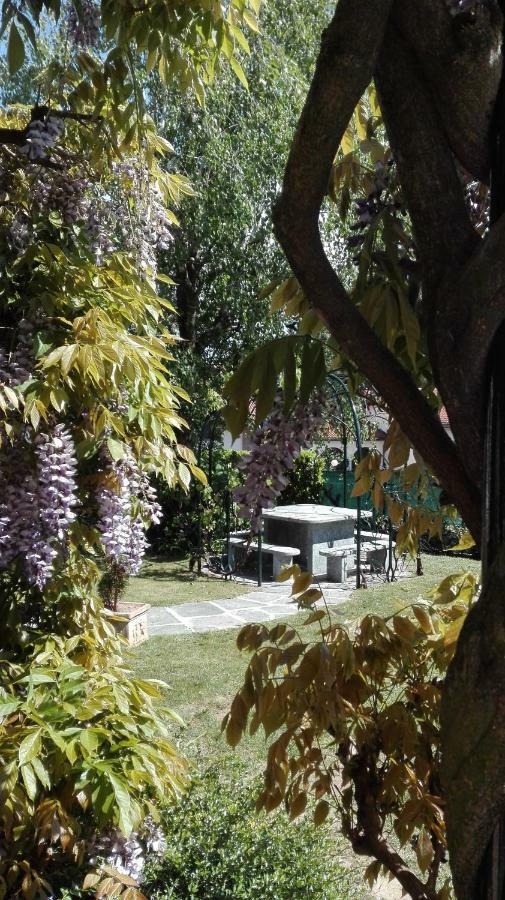 Villa Golden Memories *