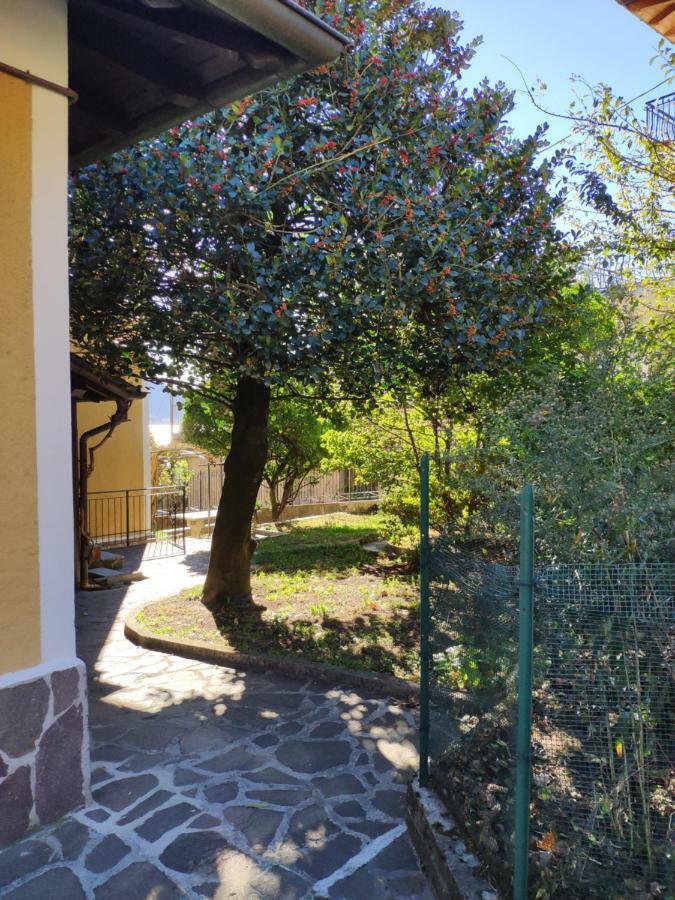 Apartment Casa Gialla
