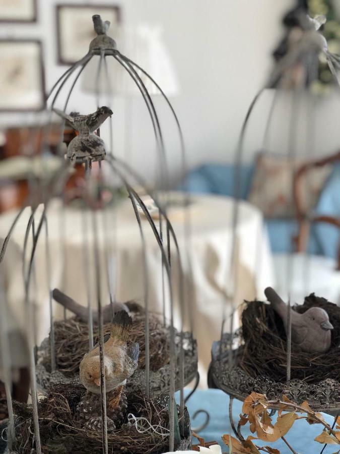 Il Nido Bed & Breakfast