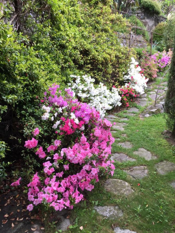Eden Sul Lago Di Como * Nesso