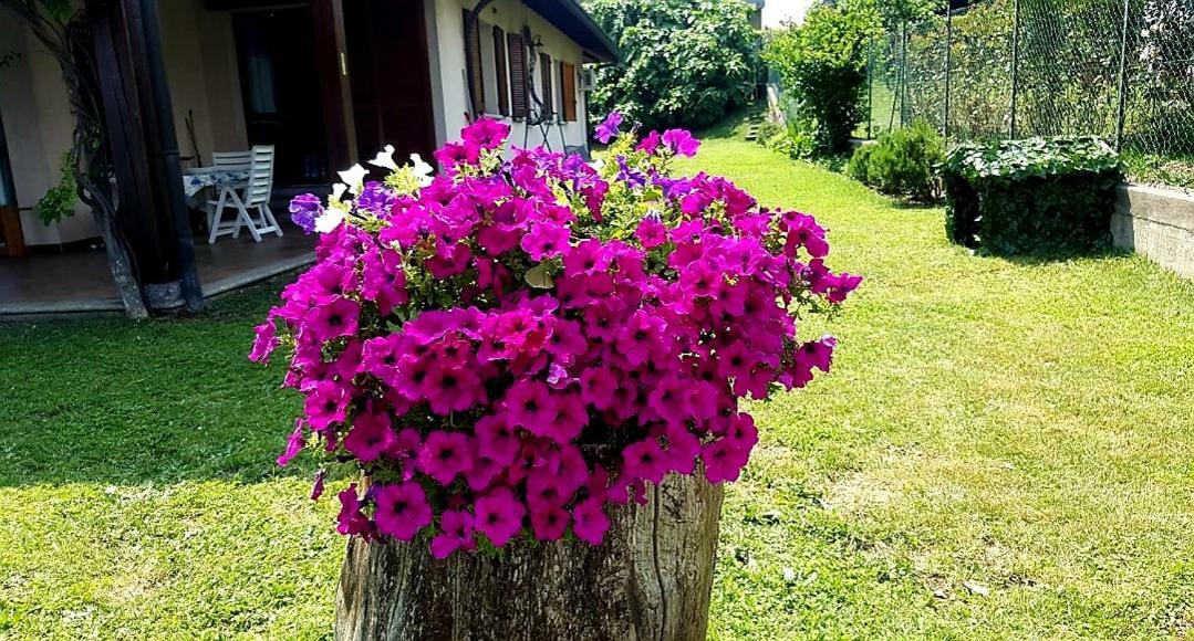 Margot Bed & Breakfast Albavilla