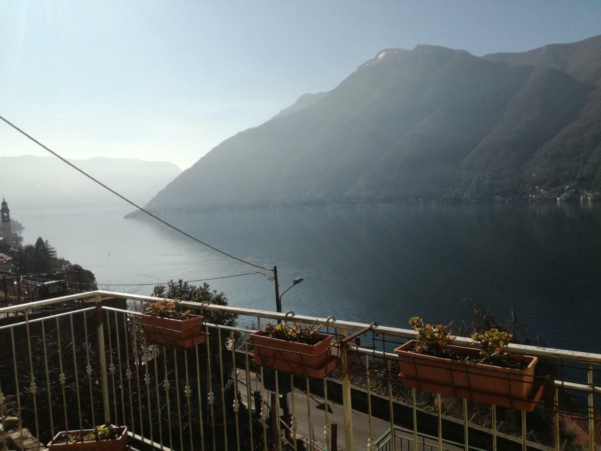 Apartment Balcone Dei Limoni *